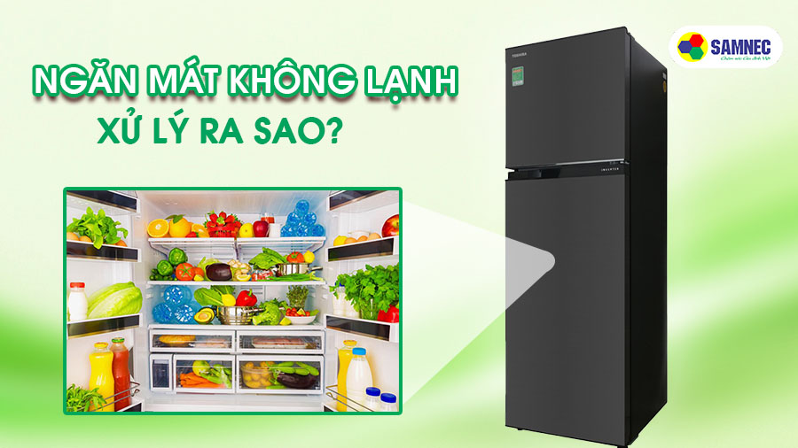 Tủ lạnh Samsung Inverter không lạnh